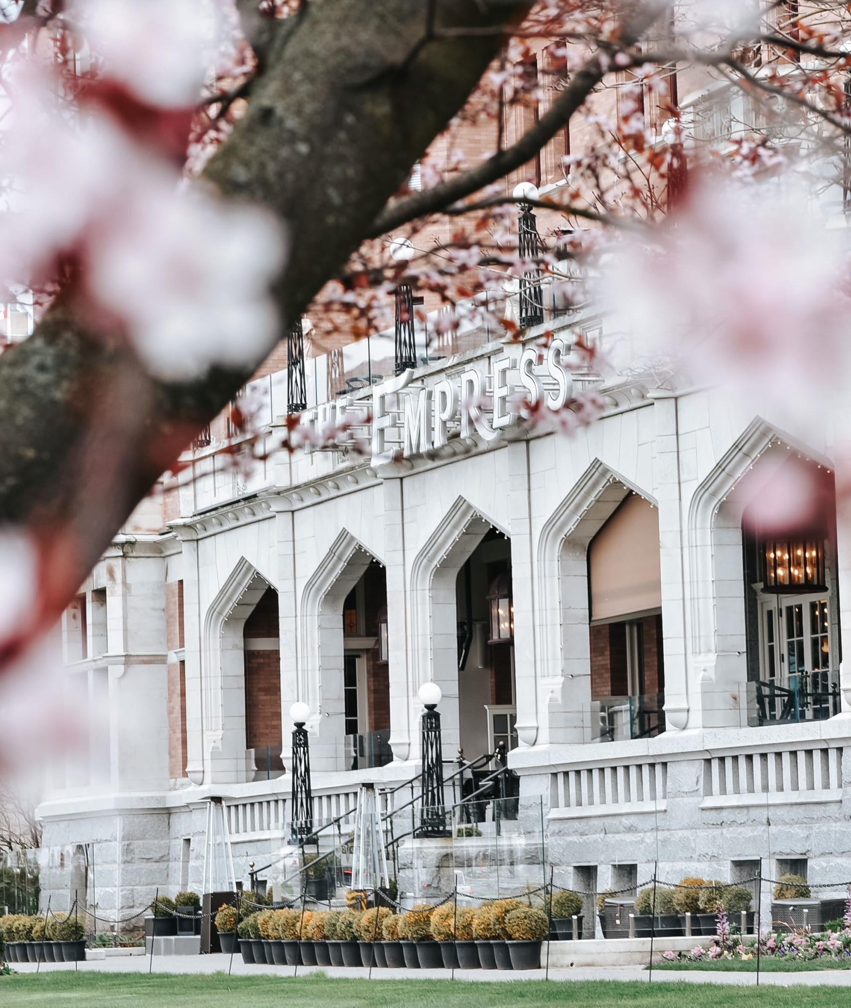 entry way with cherry blossom tree