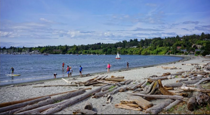 families enjoying the beach