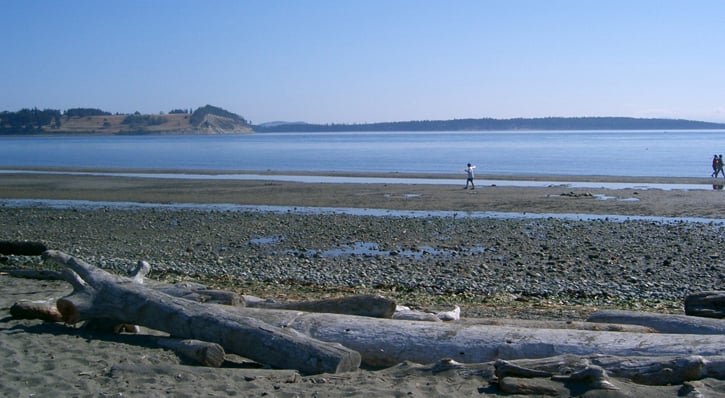 a child walks along a beach